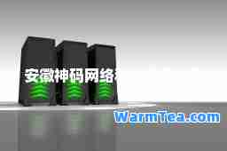安徽码网络科技有限公司