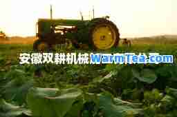 安徽双耕机械加工有限公司