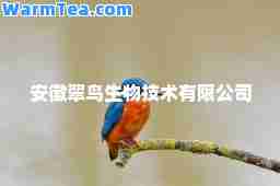 安徽翠鸟生物技术有限公司