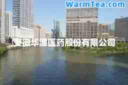 安徽华源医药股份有限公司