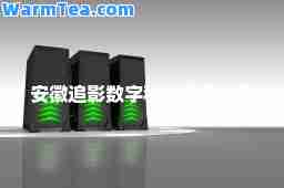 安徽追影数字科技有限公司