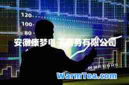 安徽康梦电子商务有限公司