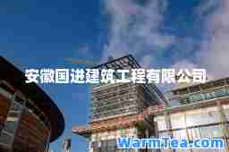 安徽国进建筑工程有限公司