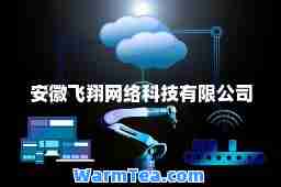 安徽飞翔网络科技有限公司