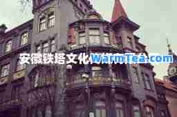 安徽铁塔文化传媒有限公司