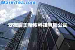 安徽耀美精密科技有限公司