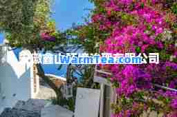 安徽鑫山环境治理有限公司