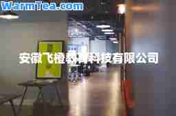 安徽飞橙教育科技有限公司