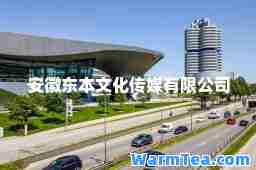 安徽东本文化传媒有限公司