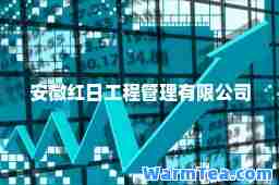 安徽红日工程管理有限公司