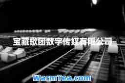 宝藏歌团数字传媒有限公司