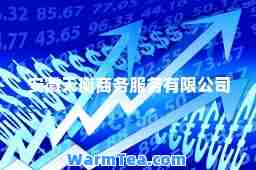 安徽天衡商务服务有限公司