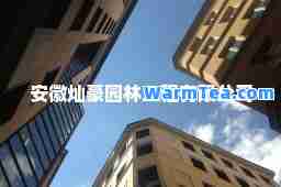 安徽灿豪园林工程有限公司