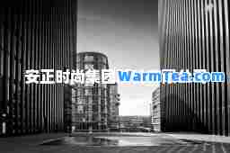 安正时尚集团股份有限公司