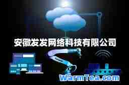 安徽发发网络科技有限公司