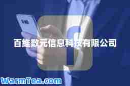 百维数元信息科技有限公司
