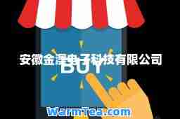 安徽金澳电子科技有限公司