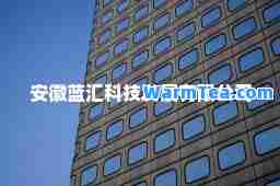 安徽蓝汇科技发展有限公司