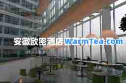 安徽欧密酒店管理有限公司