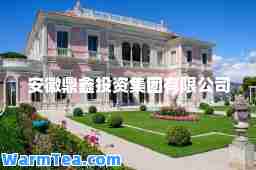 安徽鼎鑫投资集团有限公司