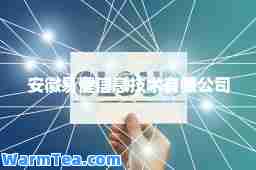 安徽易健信息技术有限公司