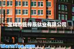 宝鸡市强梓辰钛业有限公司