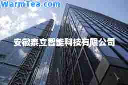安徽泰立智能科技有限公司