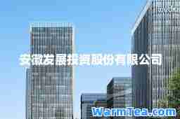 安徽发展投资股份有限公司
