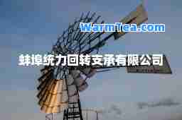 蚌埠统力回转支承有限公司