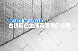 白银有色金属有限责任公司
