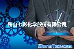鞍山七彩化学股份有限公司
