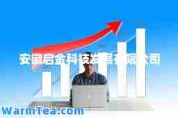 安徽启金科技发展有限公司