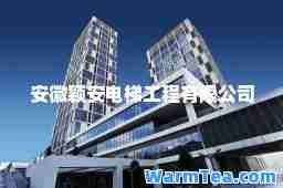 安徽颖安电梯工程有限公司