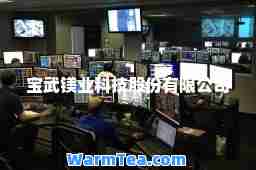 宝武镁业科技股份有限公司