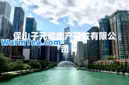 保山子元房地产开发有限公司