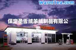 保定圣雪绒羊绒制品有限公司