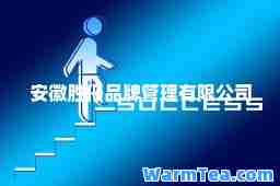 安徽胜仔品牌管理有限公司