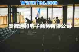 安徽通和电子商务有限公司