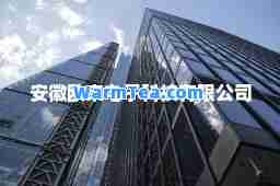 安徽欧束电子科技有限公司
