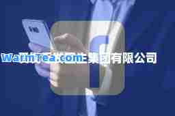 爱发毛发医生集团有限公司