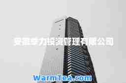 安徽举力投资管理有限公司