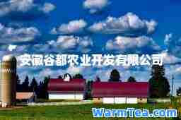 安徽谷都农业开发有限公司