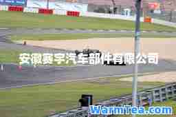 安徽赛宇汽车部件有限公司