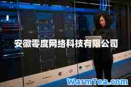 安徽零度网络科技有限公司
