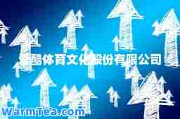 爱酷体育文化股份有限公司