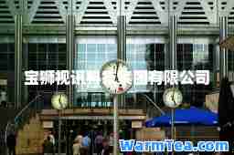 宝狮视讯科技集团有限公司