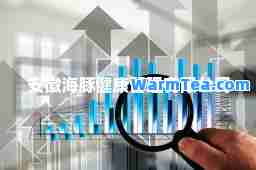 安徽海豚健康管理有限公司