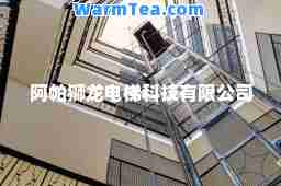 阿帕狮龙电梯科技有限公司