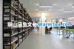 鞍山涵鱼文化传媒有限公司