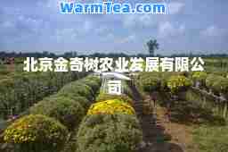 北京金奇树农业发展有限公司